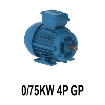 الکتروموتور وگ 0/75KW 4P GP
