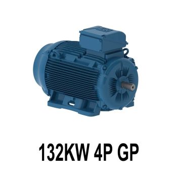 الکتروموتور وگ 132KW 4P