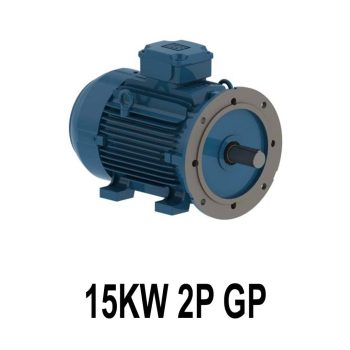 الکتروموتور وگ 15KW 2P GP