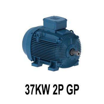 الکتروموتور وگ 37KW 2P GP