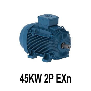 الکتروموتور وگ ضد انفجار 45KW 2P EXn