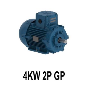 الکتروموتور وگ 2P GP 4