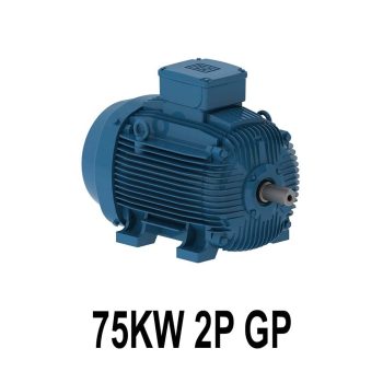 قیمت الکتروموتور وگ 75KW 2P GP