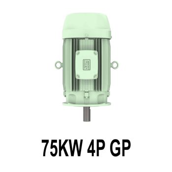 قیمت الکتروموتور وگ 75KW 4P GP
